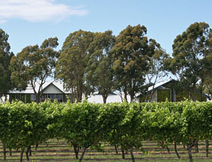 Marlborough shuttle bus transport service NEAL SHUTTLE BUS Blenheim door to door travel in Marlborough